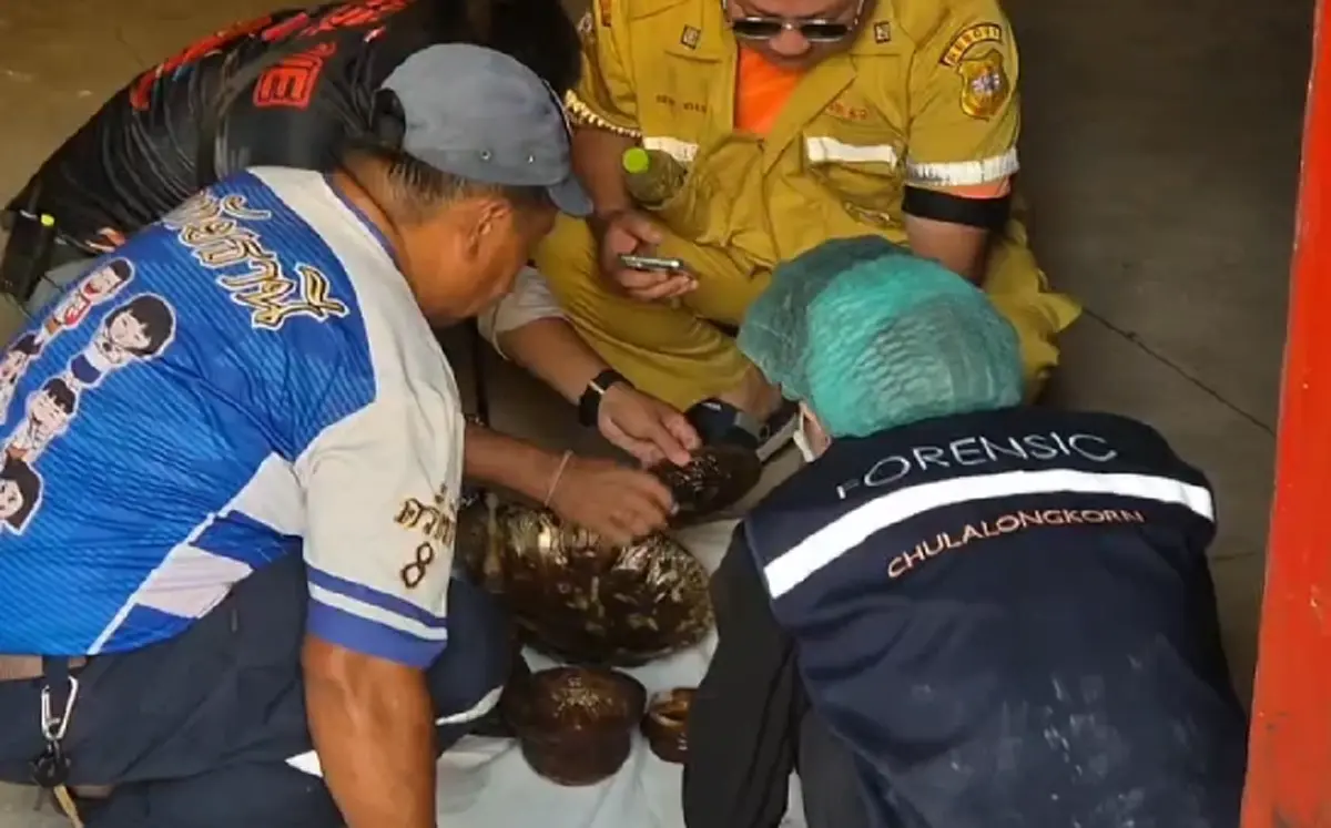 รู้แล้วเป็นใคร วัดธาตุทอง แจงชัด หีบปริศนาใต้พระวิหาร