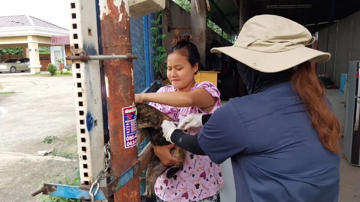 ปทุมธานีปูพรมฉีดวัคซีนพิษสุนัขบ้าพื้นที่ไข่แดงคูบางหลวง