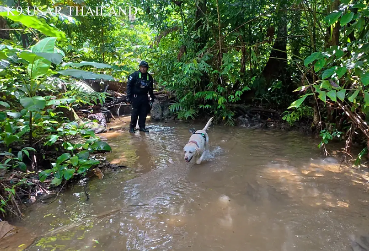 ที่มา/ภาพ Facebook : K9 USAR THAILAND