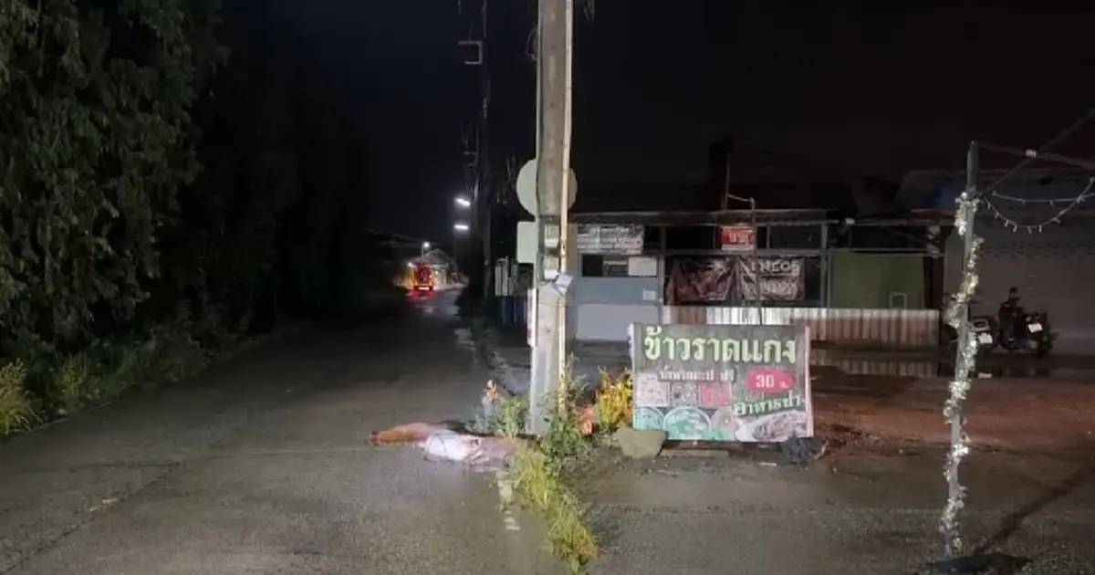 สลดทั้งซอย! หมา 1 ตัวถูกไฟดูด อีก 2 วิ่งเข้าช่วย สุดท้ายดับพร้อมกัน