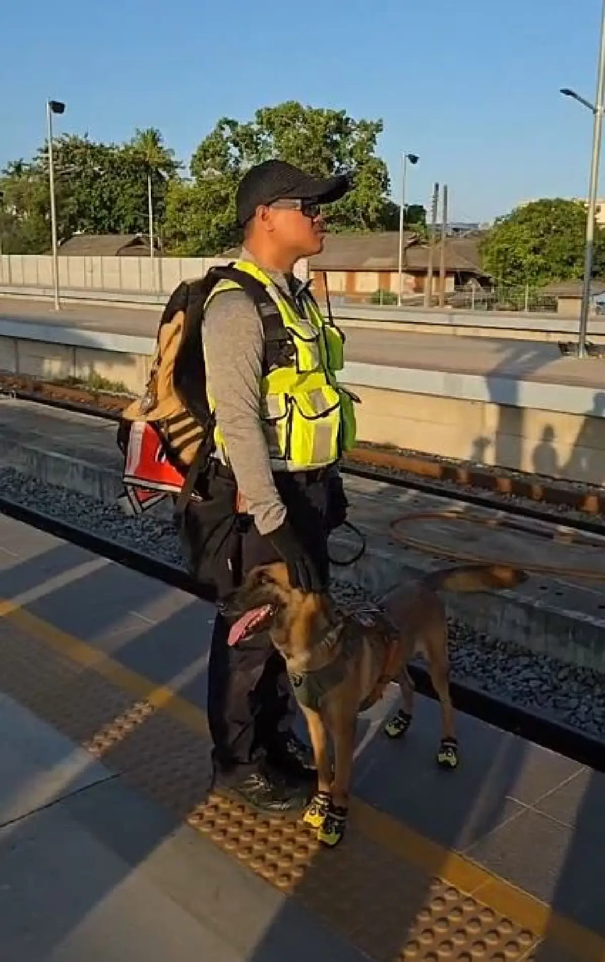 เปิดโปรไฟล์ K9 แซนดี้ ฮีโร่ 4 ขา ผ่านภารกิจมาโชกโชน ก่อนร่วมหาสีส้ม