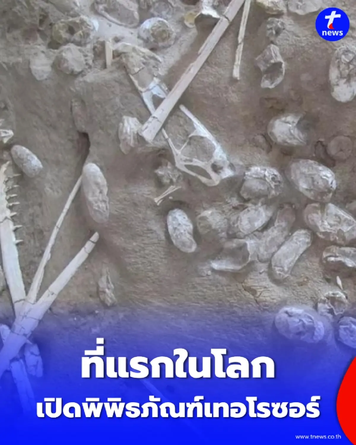 จีนปักหมุดพิพิธภัณฑ์แห่งใหม่ พาย้อนรอยเจ้าเวหายุคดึกดำบรรพ์