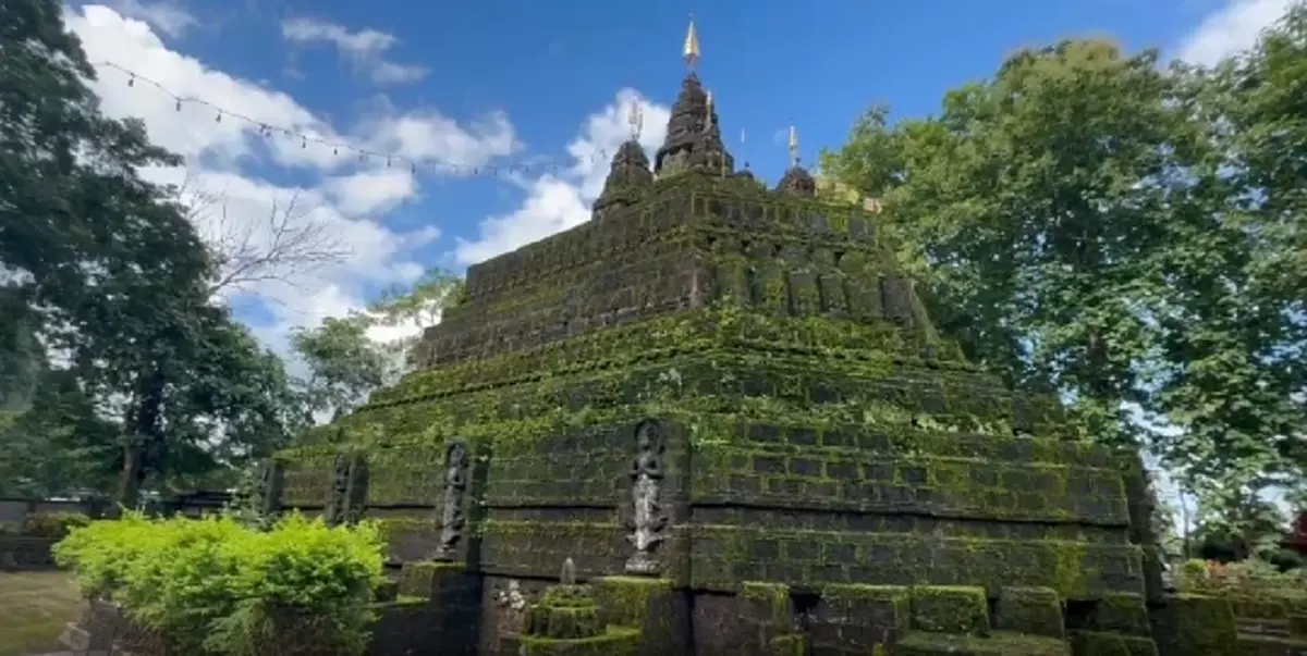 ปีละครั้ง! พระธาตุถูกมอส-เฟิร์นปกคลุม สวยราวภาพในเทพนิยาย