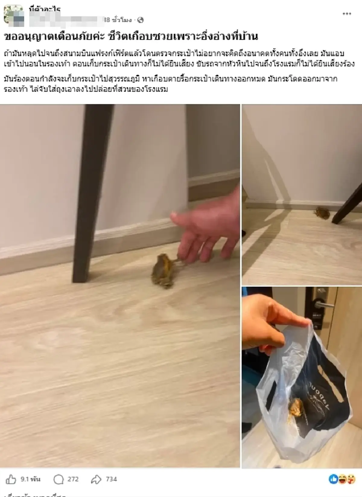 เกือบซวย "อึ่งอ่าง" แอบมุดกระเป๋า ไม่อยากจะคิดถ้าหลุดถึงเยอรมนี