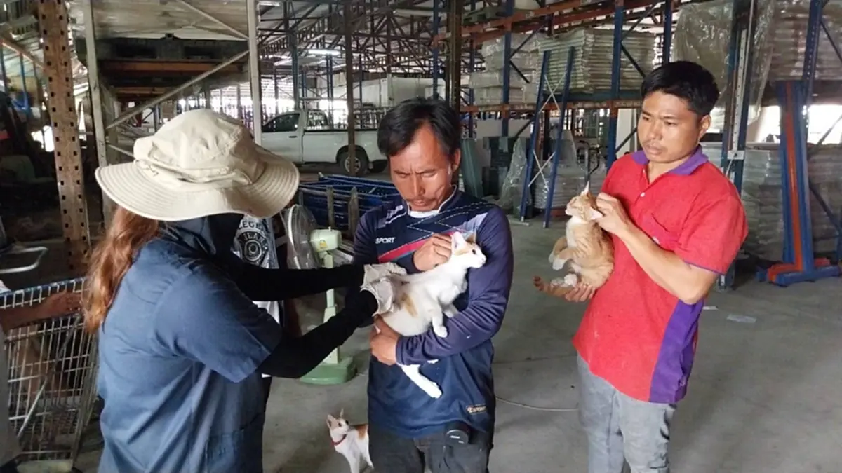 ปทุมธานีปูพรมฉีดวัคซีนพิษสุนัขบ้าพื้นที่ไข่แดงคูบางหลวง