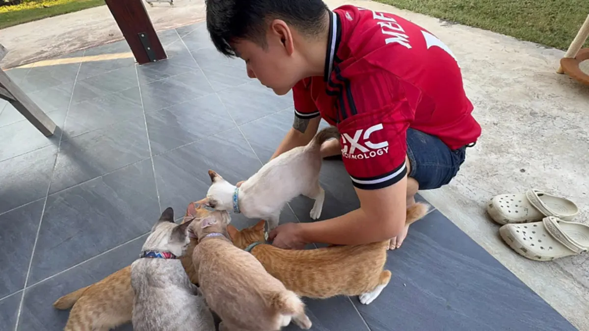 ใหม่ พัชรี เดือด! ไล่แม่บ้านออก แฉเอาแมวป่วยทิ้งป่าจนตาย