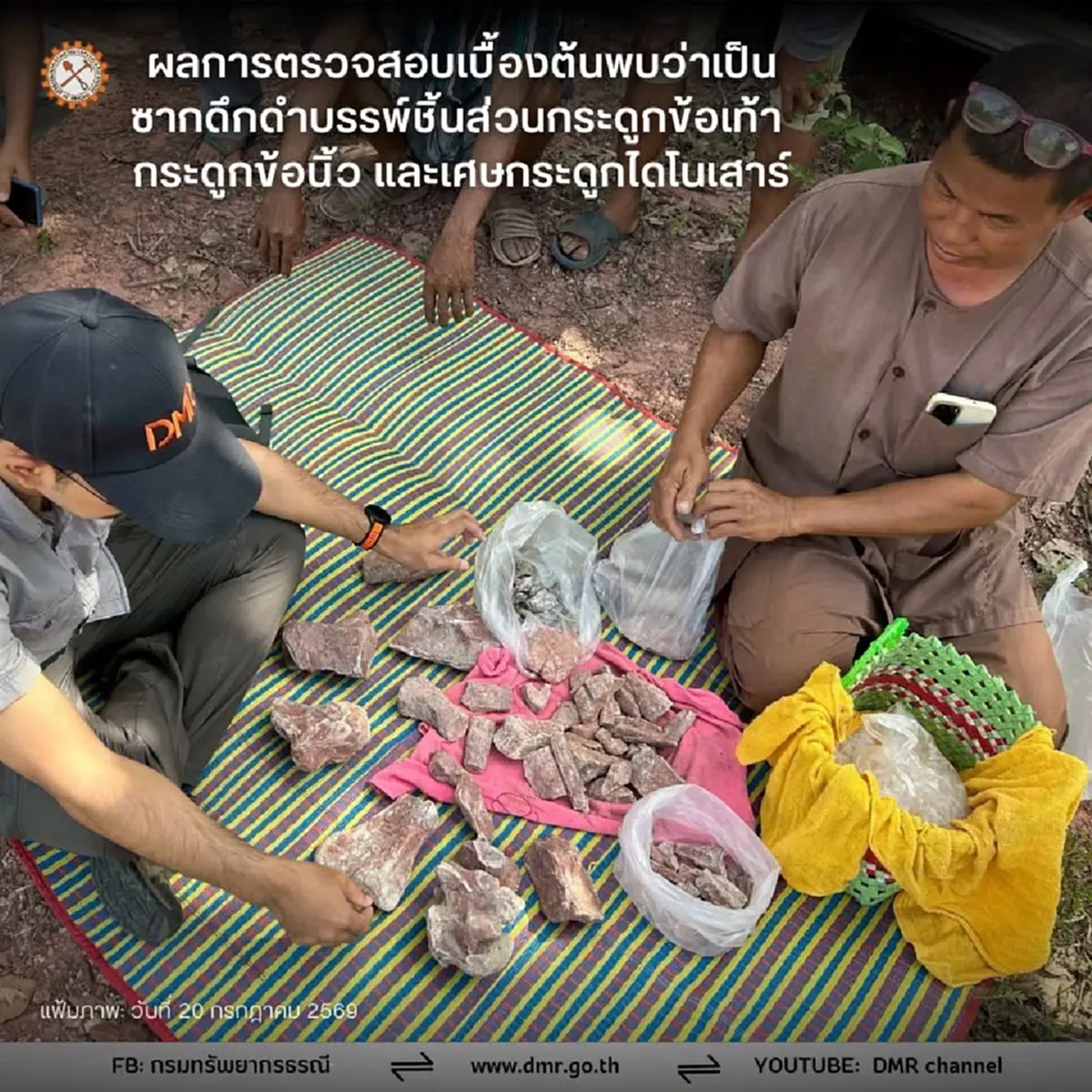 พบซากไดโนเสาร์ชัยภูมิเพิ่ม อายุกว่า 130 ล้านปี ตะลึงเก่าแก่กว่านาคาไททัน!