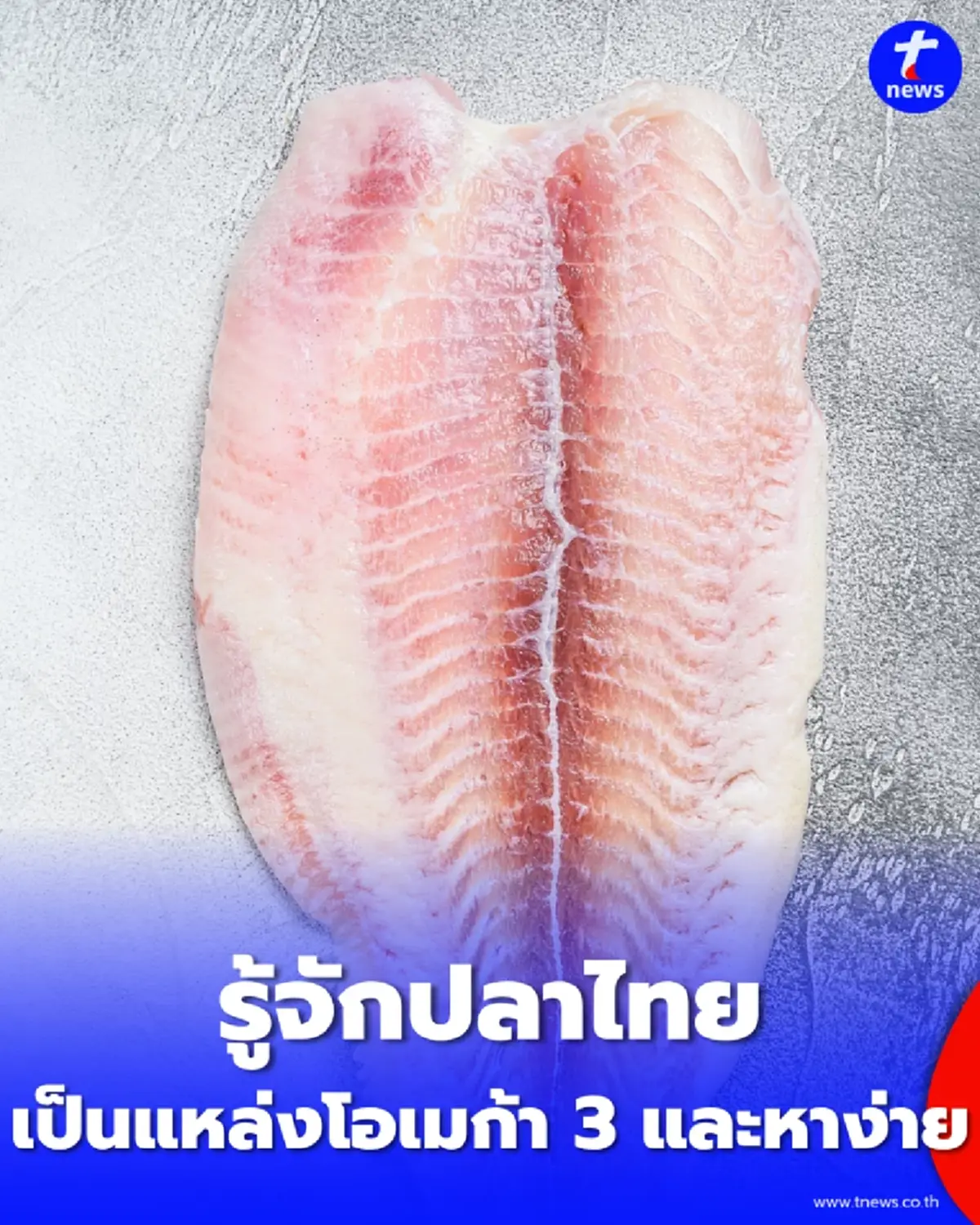 อยากได้โอเมก้า 3 ไม่จำเป็นต้องกินแซลมอน รู้จักปลาไทยที่มีกรดไขมันดีหลายชนิด