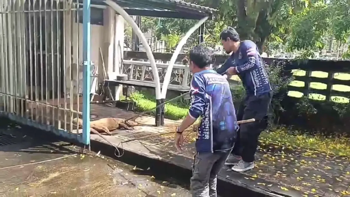 ระทึก! โคตรตัวเงินตัวทองบุกสำนักงานอัยการจังหวัดพังงา