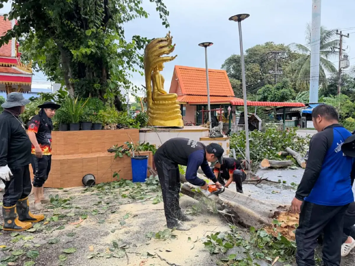 พายุซัดต้นโพธิ์ล้มเฉียดพระพุทธรูป ชาวบ้านเชื่อบารมีคุ้มภัย