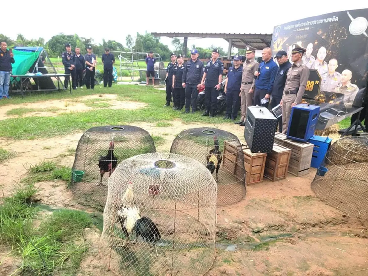 ทลายฟาร์มแก๊งค้ายา เนรมิตพื้นที่กว่า4 ไร่  ยึด วัว ควาย ไก่ชน 94 ล้าน