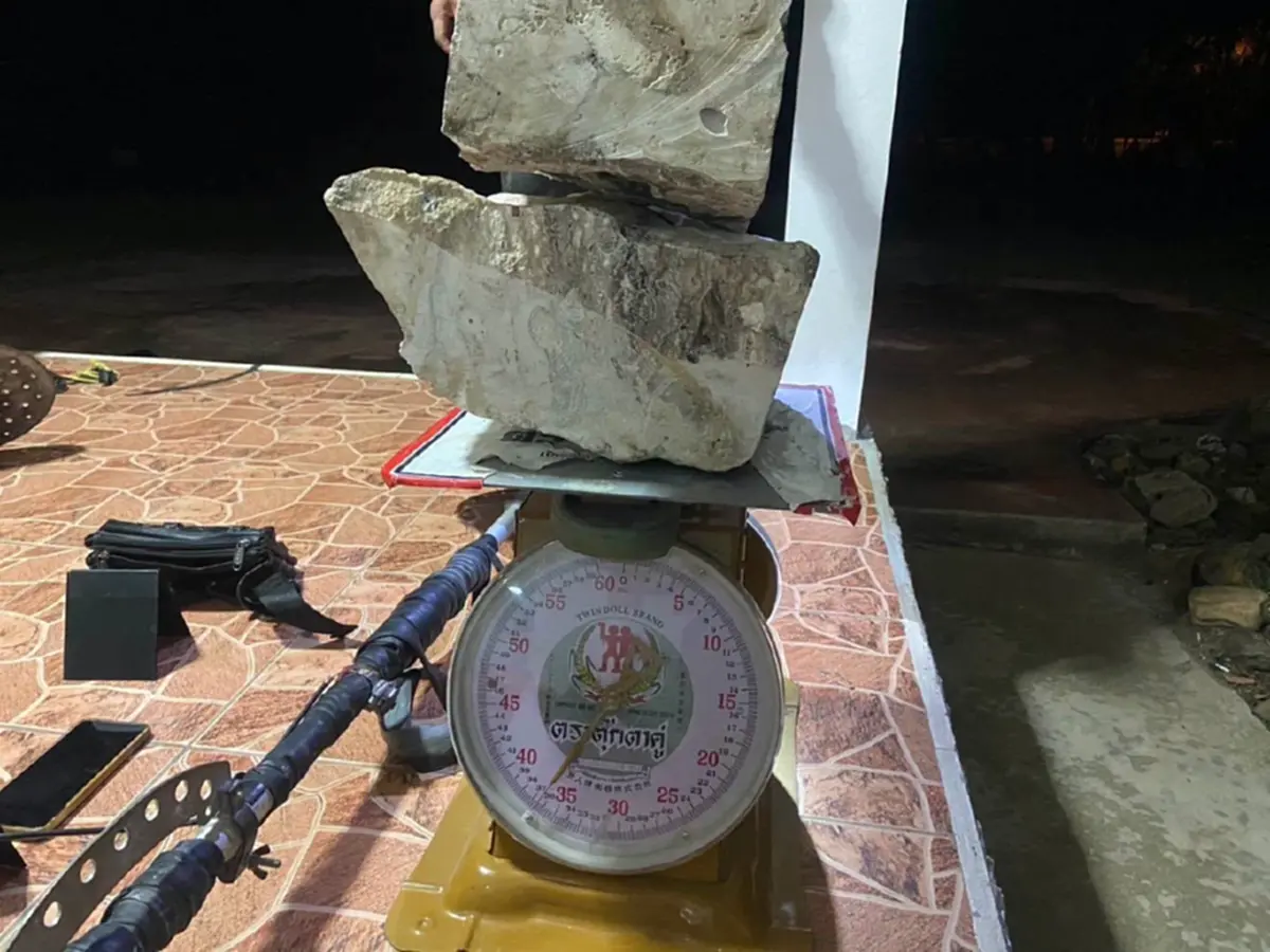 ภาพ : กรมอุทยานแห่งชาติ สัตว์ป่า และพันธุ์พืช