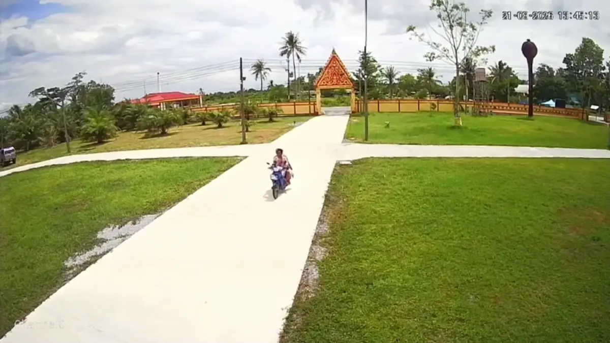 ทำเป็นอาลัย! หนุ่มสาวแอบทิ้งลูกแมว 3 ตัว พระวอนหยุดสร้างบาป