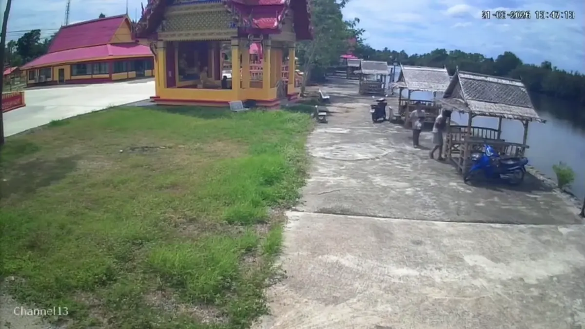 ทำเป็นอาลัย! หนุ่มสาวแอบทิ้งลูกแมว 3 ตัว พระวอนหยุดสร้างบาป
