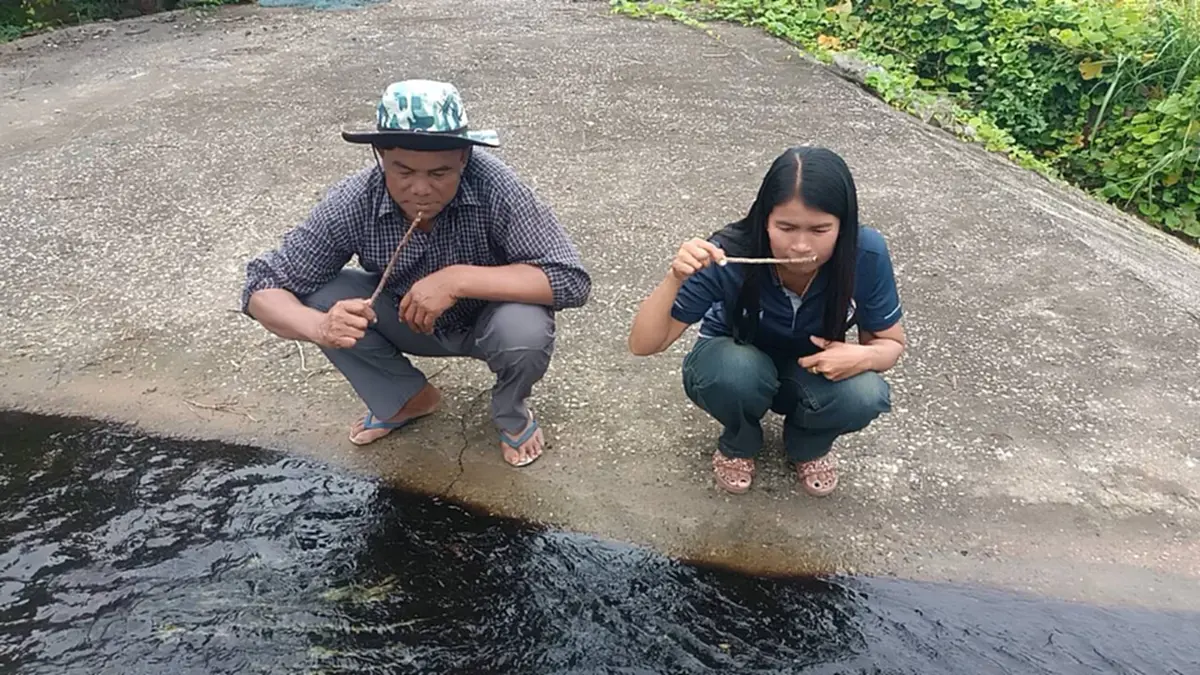 วิกฤตคลองบุญเลิศ! น้ำดำเหม็นปลาตาย สั่งห้ามใช้เด็ดขาด