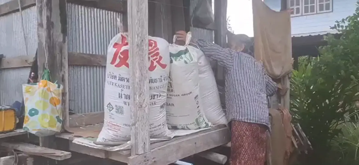ชาวบ้านผวา "งูสา" เลื้อยซุกยุ้งฉาง ยาวกว่า 1 เมตร แห่ส่องบ้านเลขที่