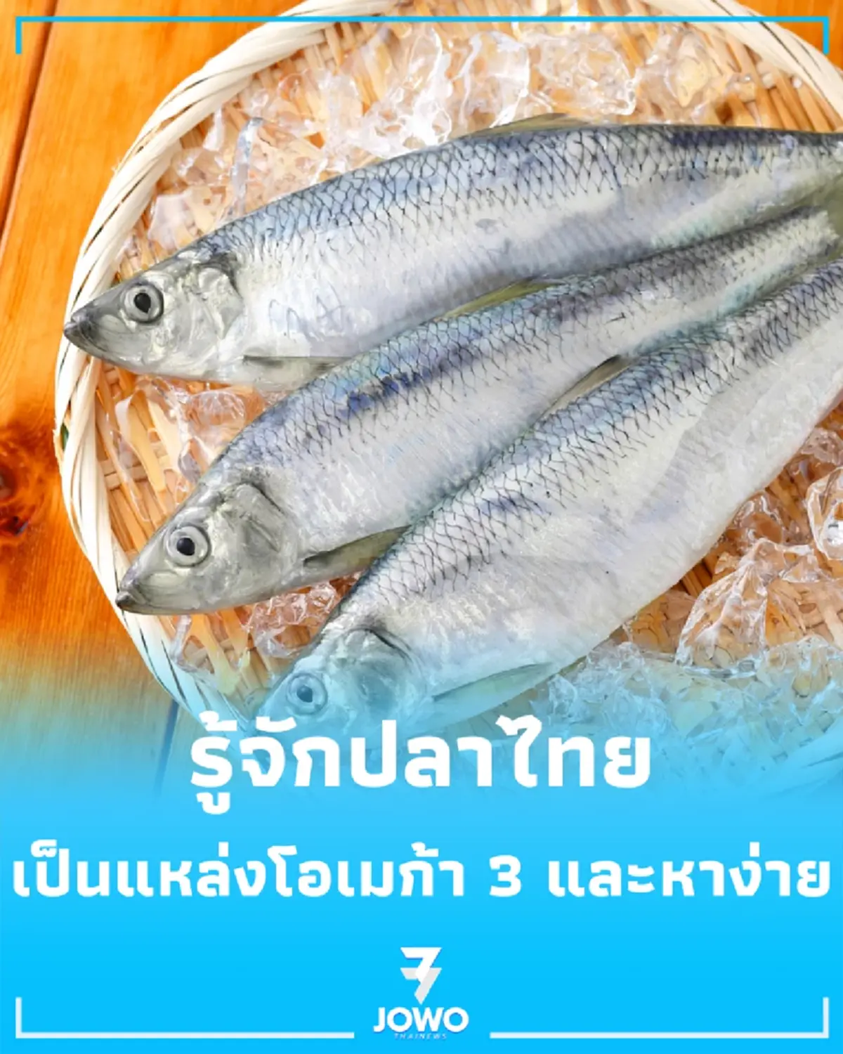 อยากได้โอเมก้า 3 ไม่จำเป็นต้องกินแซลมอน รู้จักปลาไทยที่มีกรดไขมันดีหลายชนิด