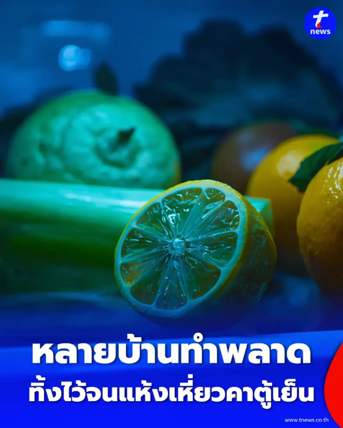 หลายบ้านทำพลาด ทำไมห้ามทิ้งมะนาวครึ่งซีก แห้งคาตู้เย็น