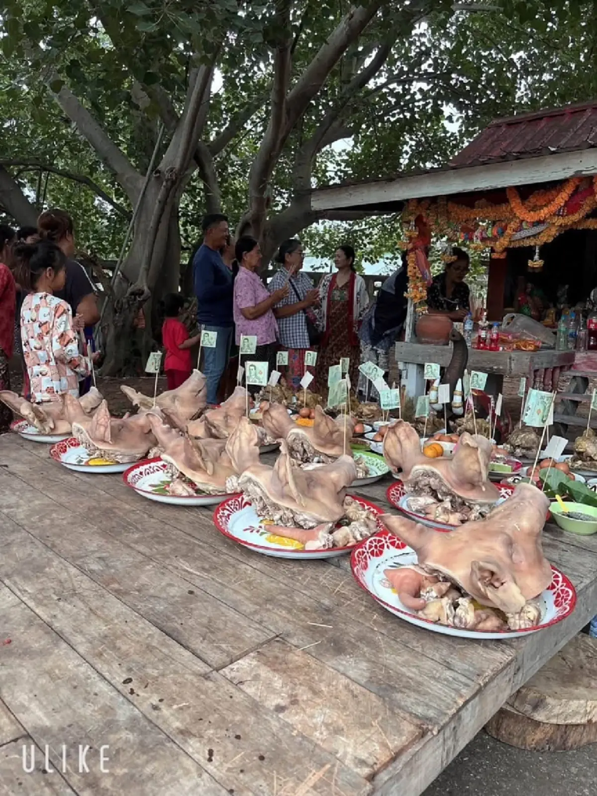 "สุนารี" โชว์เลขธูปแก้บนศาลตายาย หลังครอบครัวขอให้หายป่วย