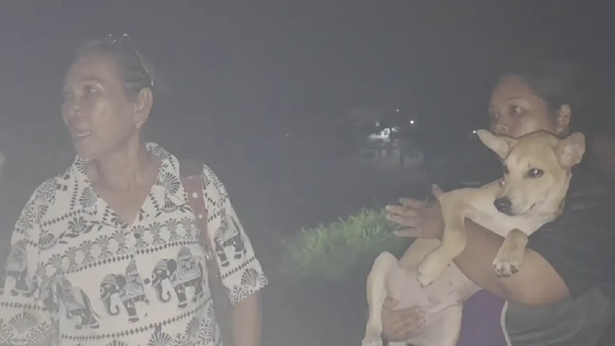 หนุ่มสุรินทร์ป่วยจิตเวชทำร้ายหมาจนขาหัก ก่อนตร.ลุยจับส่ง รพ.