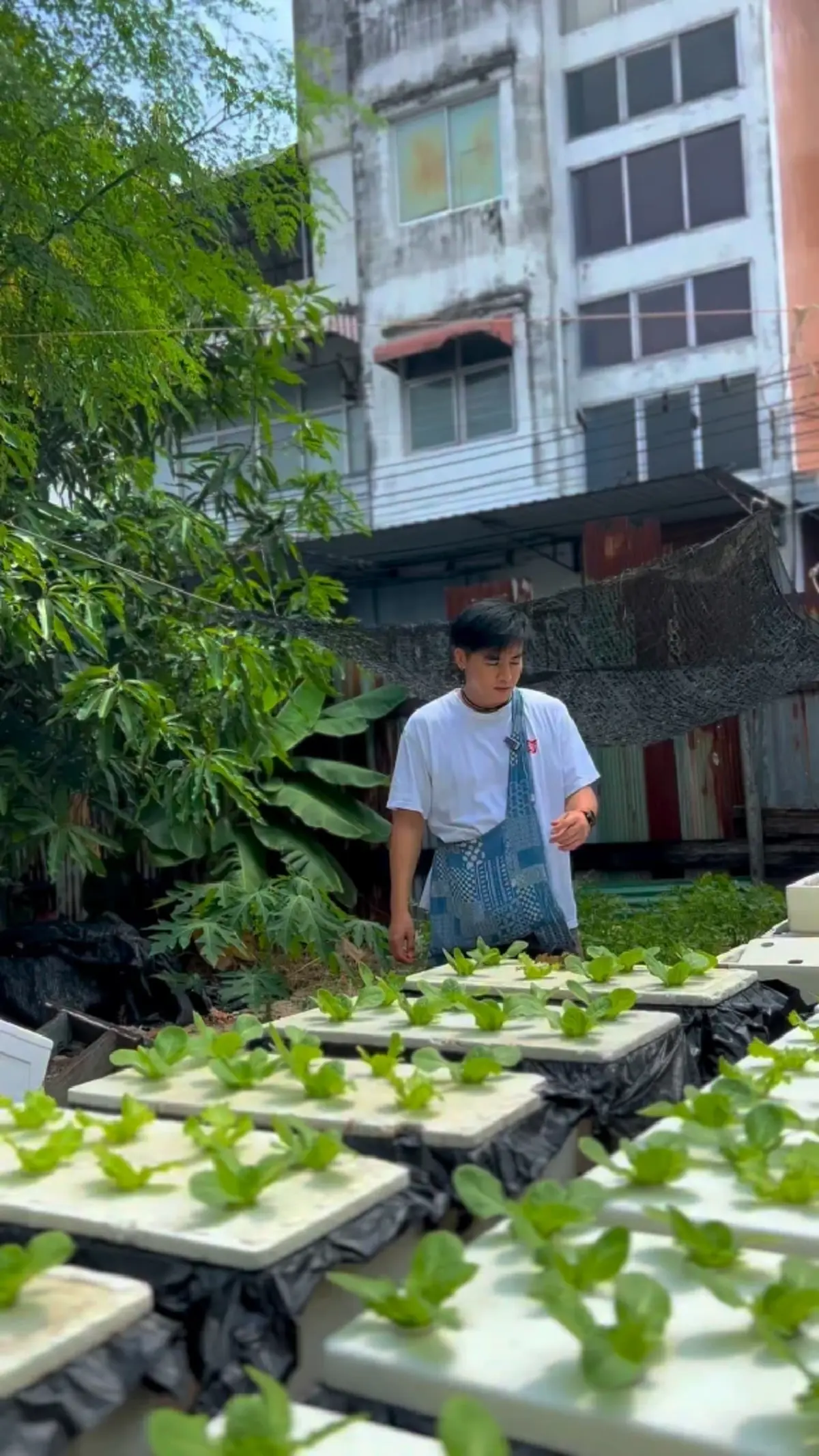 จากพระเอกสู่ชาวสวน  "โก โกสินทร์" โพสต์คลิปนั่งคว้านลำไย 
