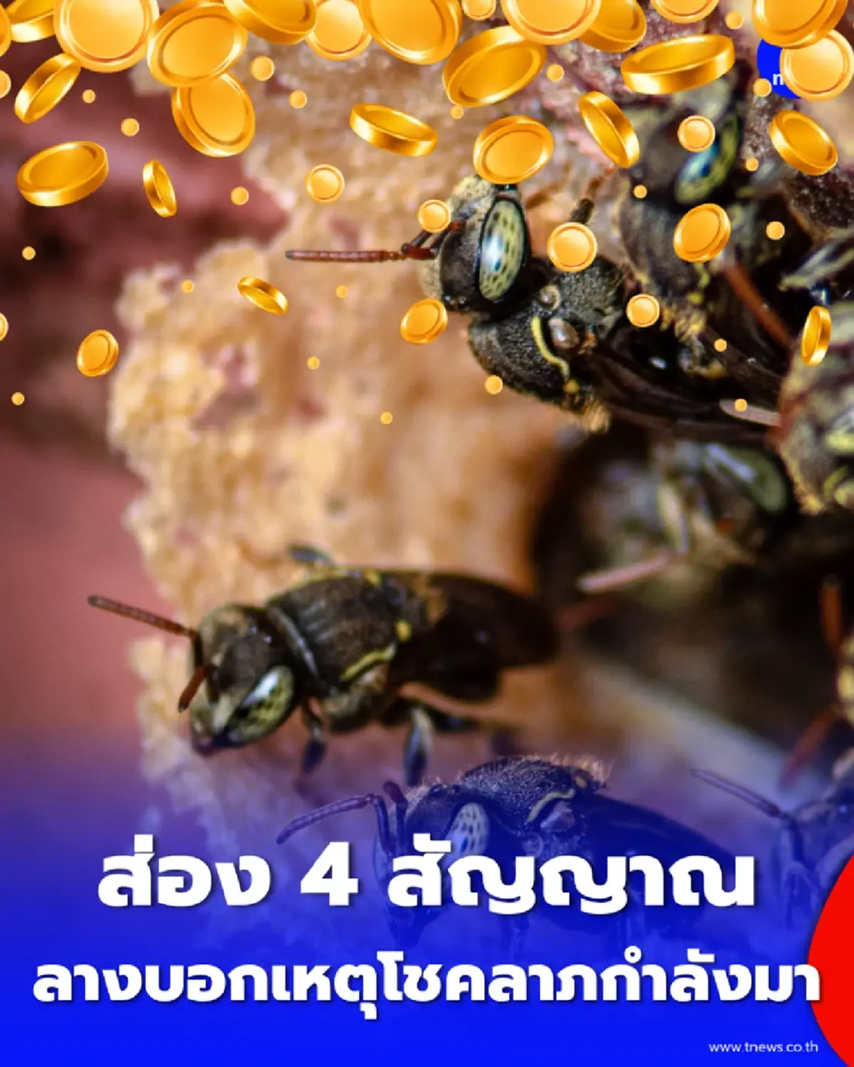 ส่อง 4 สัญญาณ บ้านรับทรัพย์ โล่ง โปร่ง สว่าง ลางบอกเหตุดีๆ ที่โชคลาภกำลังมาเยือน