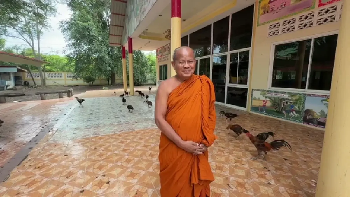 วัดเพชรบุรีเดือดร้อน! เซียนไก่ชนแพ้แล้วทิ้งวัดนับร้อยตัว
