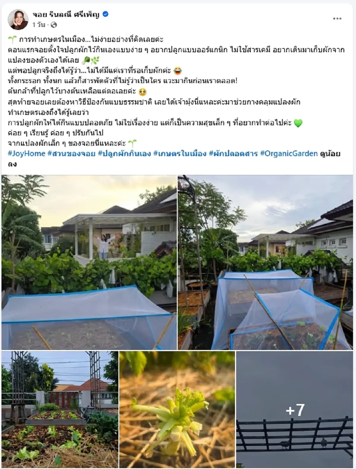 "จอย รินลณี" เนรมิตพื้นที่บ้าน 120 ตร.ว. ทำแปลงผักออร์แกนิก