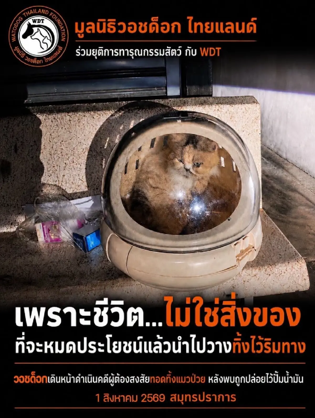 สลดหนัก แมวน้อยถูกใส่กระเป๋าทิ้งปั๊มน้ำมัน รู้สาเหตุรับไม่ได้