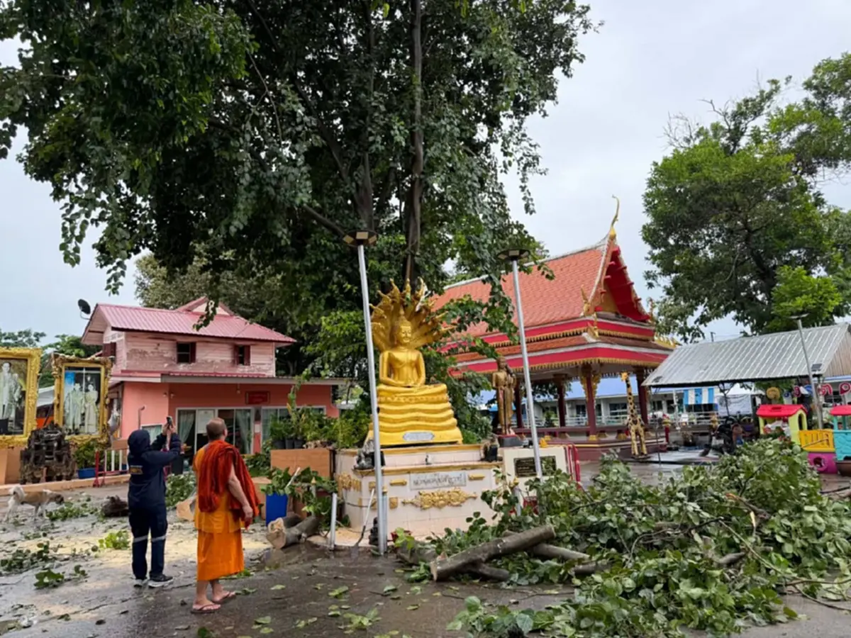 พายุซัดต้นโพธิ์ล้มเฉียดพระพุทธรูป ชาวบ้านเชื่อบารมีคุ้มภัย