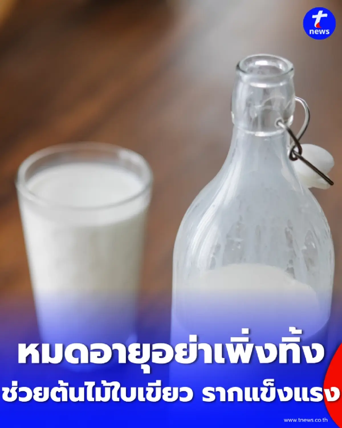 อย่าพึ่งเททิ้ง นมหมดอายุ เคล็ดลับช่วยต้นไม้ใบเขียว รากแข็งแรง