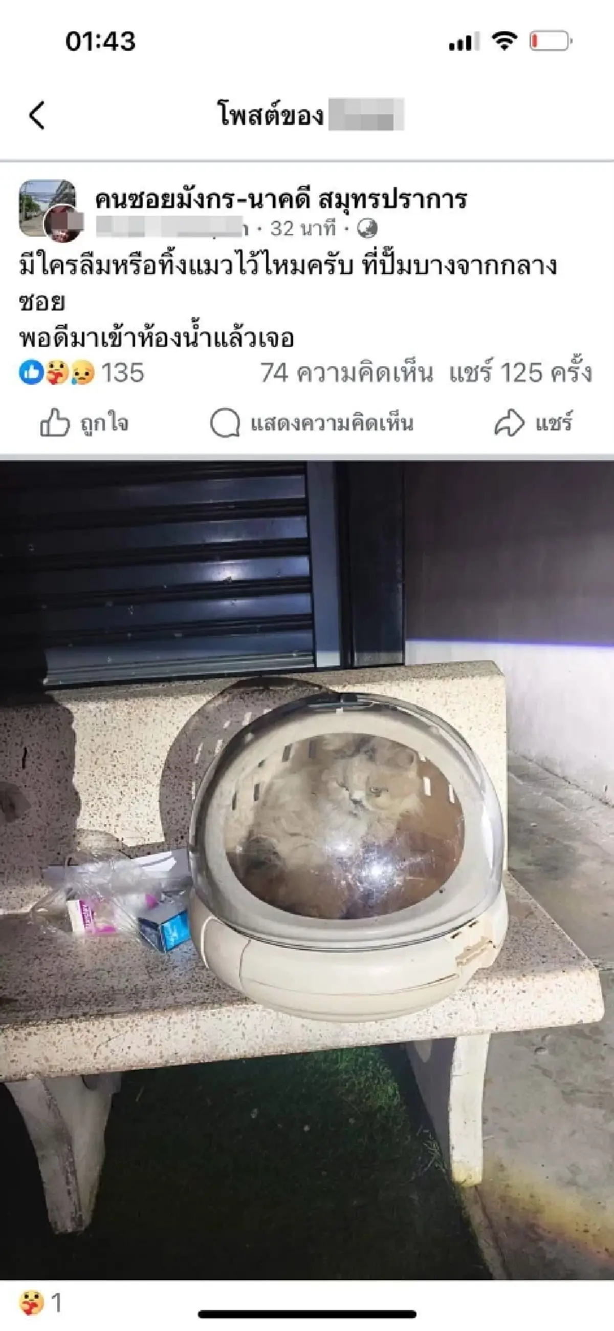 สลดหนัก แมวน้อยถูกใส่กระเป๋าทิ้งปั๊มน้ำมัน รู้สาเหตุรับไม่ได้