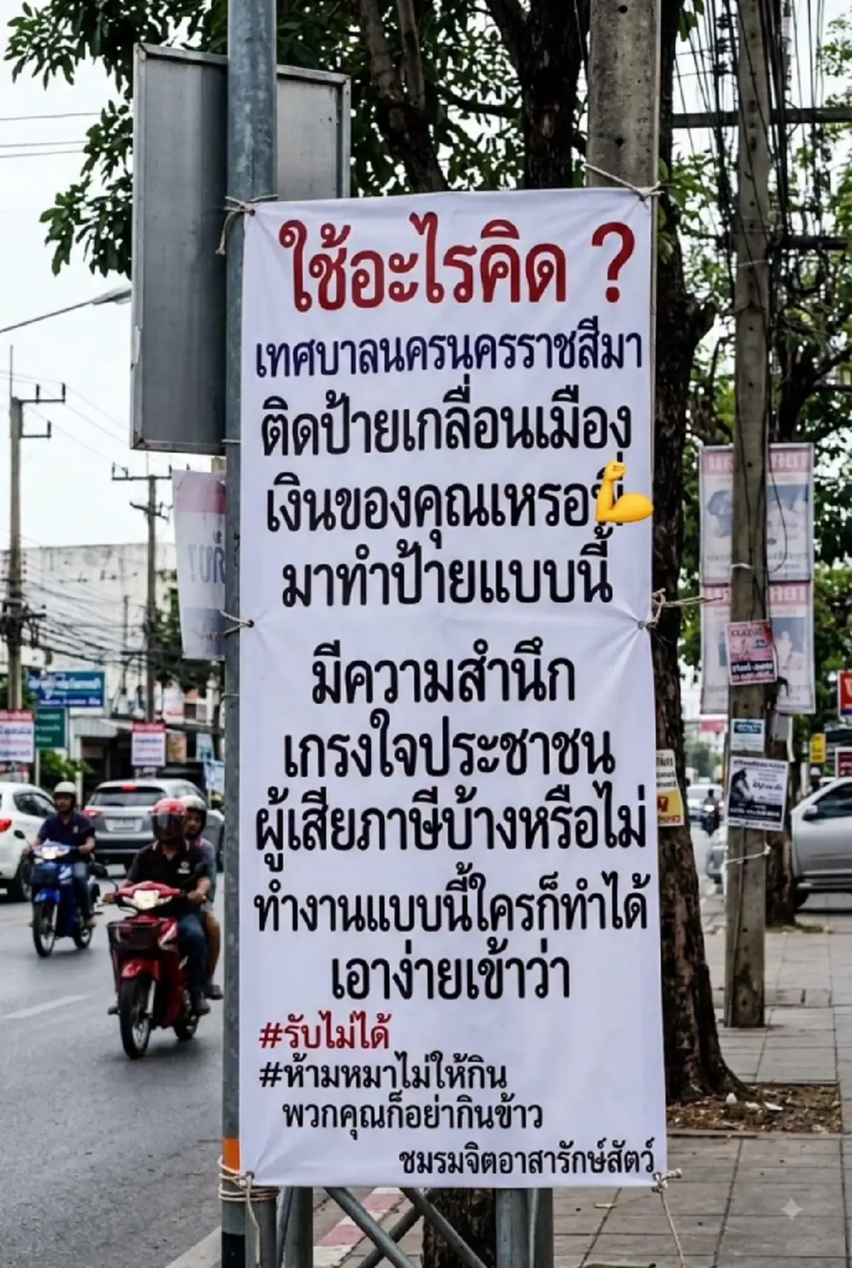 ดราม่าป้าย "ห้ามให้อาหารหมาจร" เท่ากับผิดกฎหมาย ชาวโคราชจวกยับ