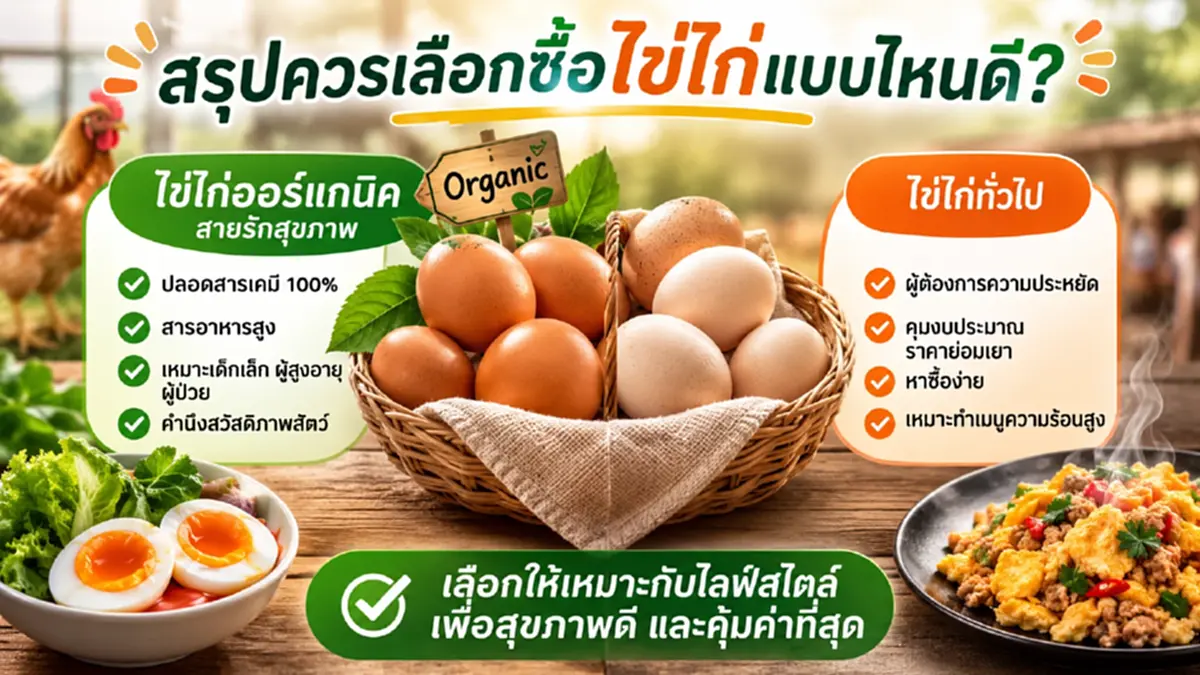 เทียบชัดๆ ต่างกันจริงไหม? ไข่ไก่ออร์แกนิค vs ไข่ไก่ทั่วไป 