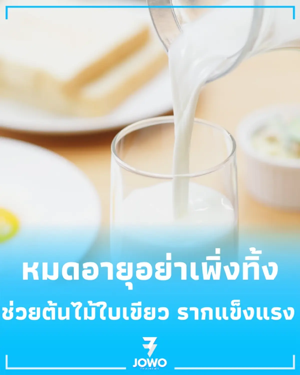 อย่าพึ่งเททิ้ง นมหมดอายุ เคล็ดลับช่วยต้นไม้ใบเขียว รากแข็งแรง