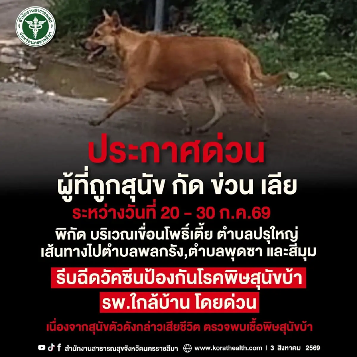 ประกาศด่วน! หมาน้ำตาลติดพิษสุนัขบ้า เตือนคนโดนกัดรีบฉีดวัคซีน