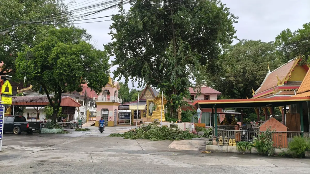 พายุซัดต้นโพธิ์ล้มเฉียดพระพุทธรูป ชาวบ้านเชื่อบารมีคุ้มภัย