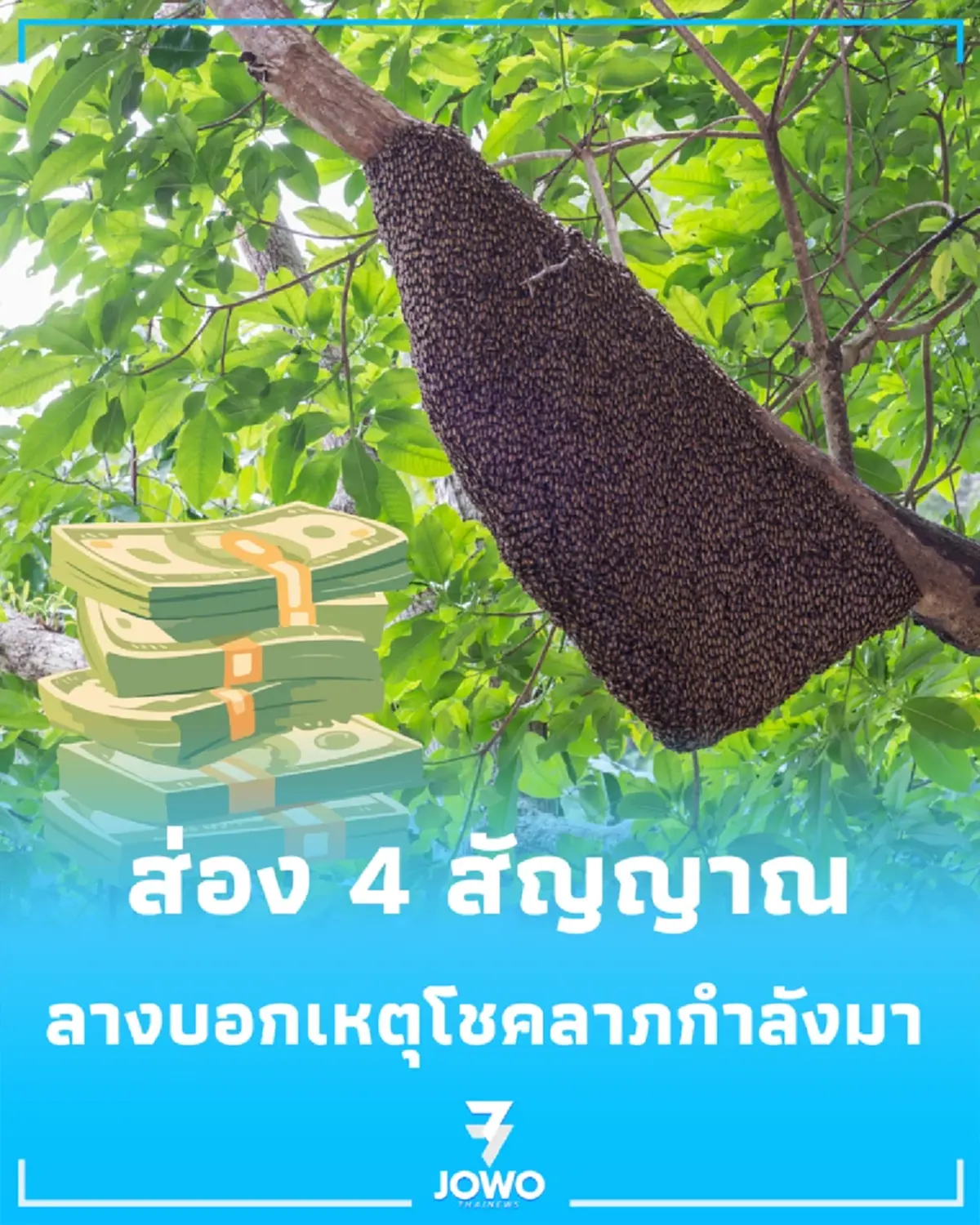 ส่อง 4 สัญญาณ บ้านรับทรัพย์ โล่ง โปร่ง สว่าง ลางบอกเหตุดีๆ ที่โชคลาภกำลังมาเยือน