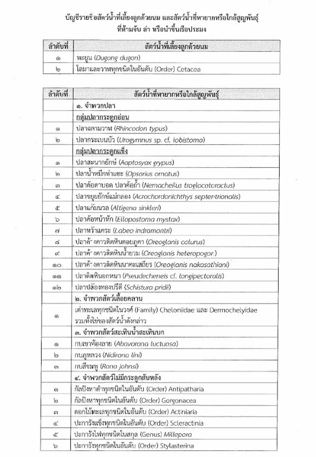 ราชกิจจาฯ กำหนดชนิดสัตว์น้ำหายาก ห้ามจับ ล่า หรือนำขึ้นเรือ