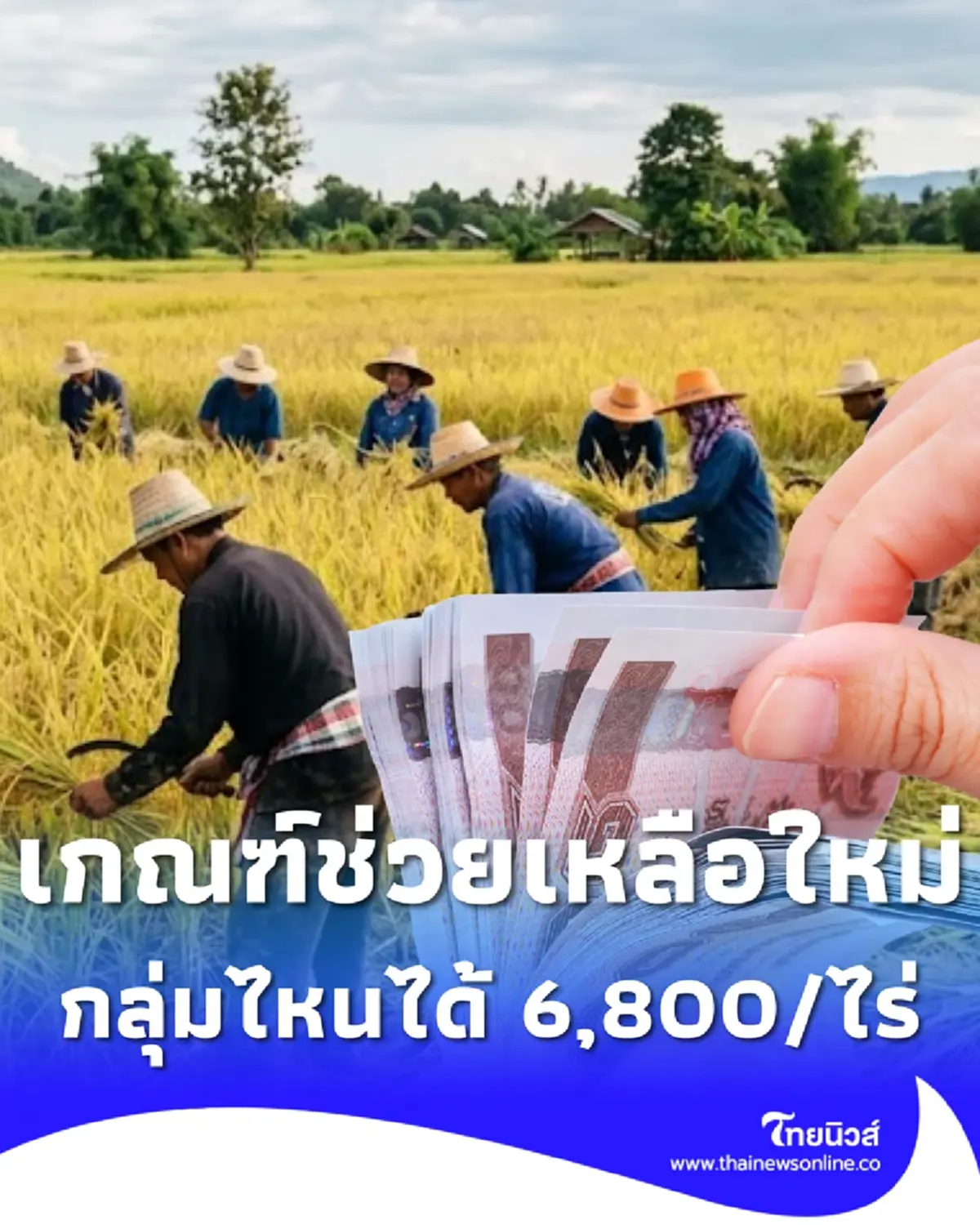 เงินช่วยเหลือเกษตรกร อัปเดตเกณฑ์ใหม่ล่าสุด กลุ่มไหนได้ 6,800 ต่อไร่