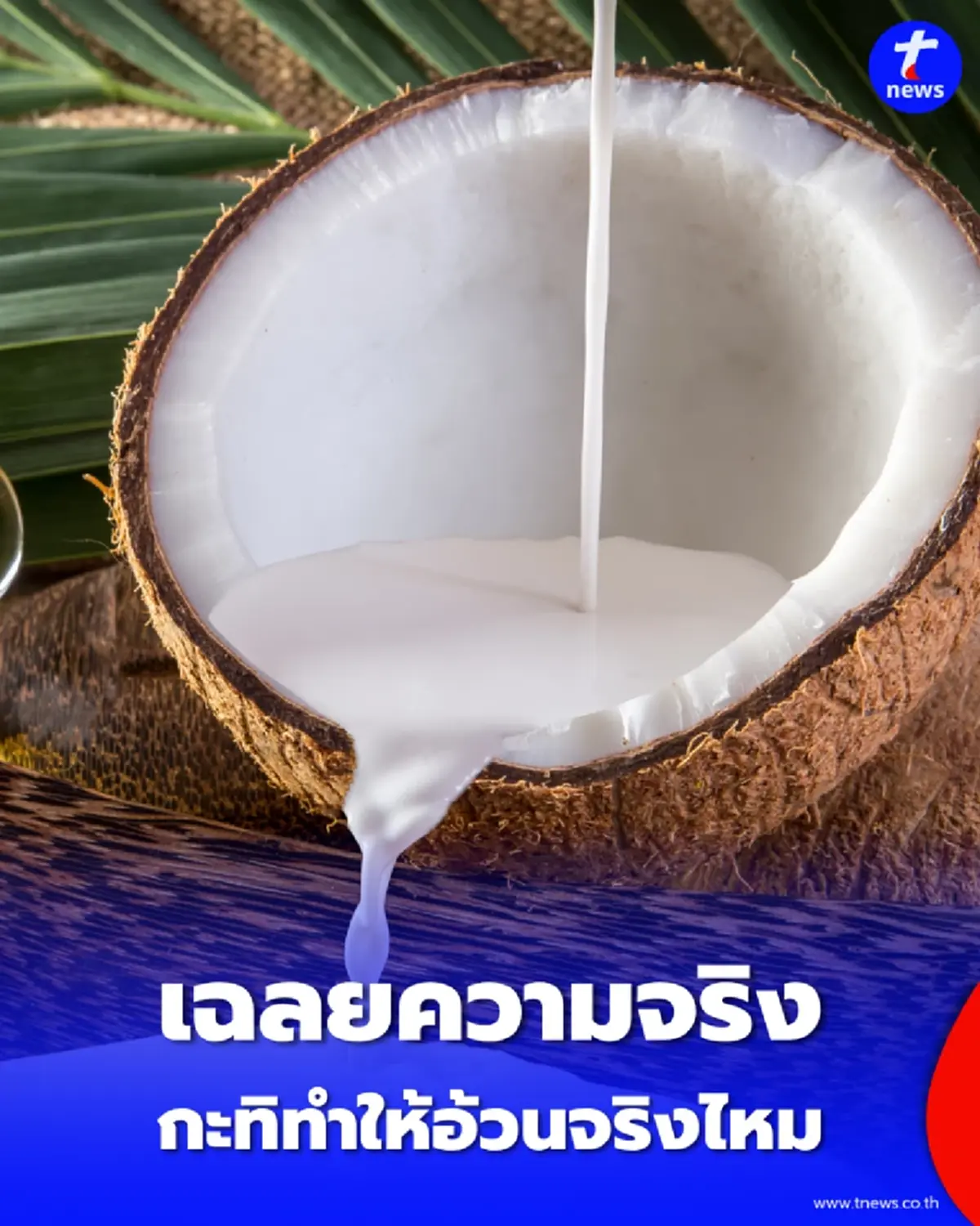 เฉลยความจริง กะทิ ไขมันดีหรือไม่ กินยังไงให้ไม่อ้วน