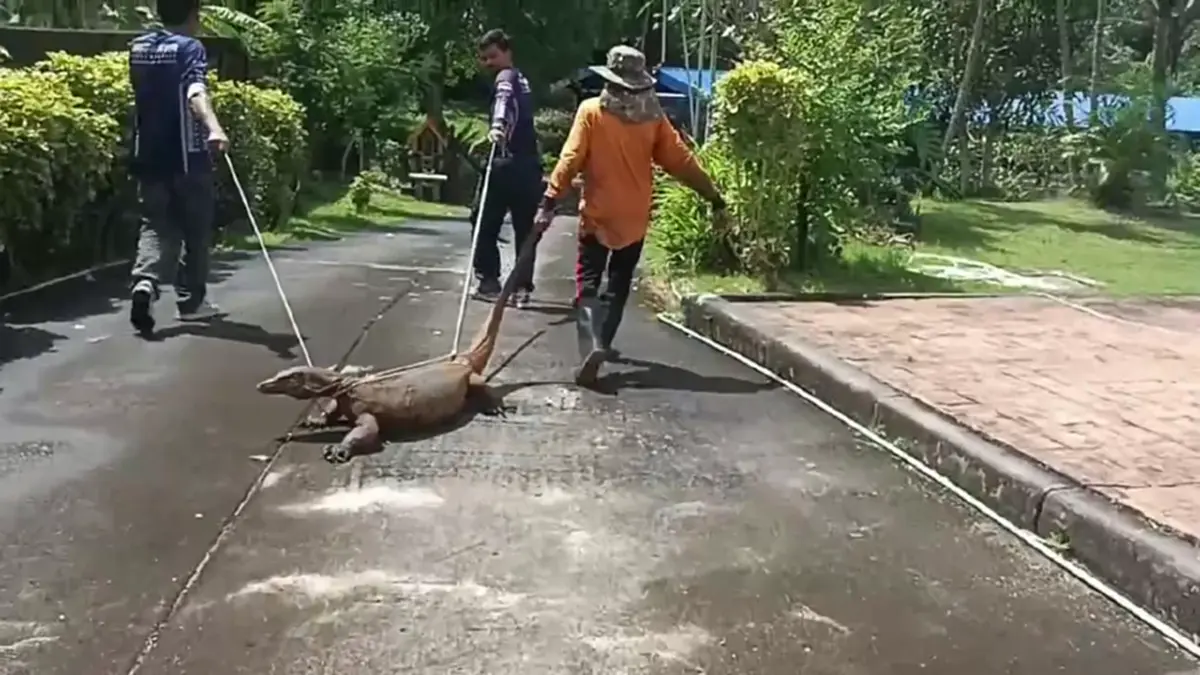 ระทึก! โคตรตัวเงินตัวทองบุกสำนักงานอัยการจังหวัดพังงา