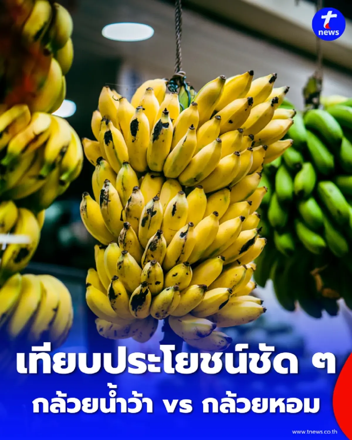 กล้วยน้ำว้า vs กล้วยหอม สารอาหารต่างกันอย่างไร กินแบบไหนเหมาะกับใคร