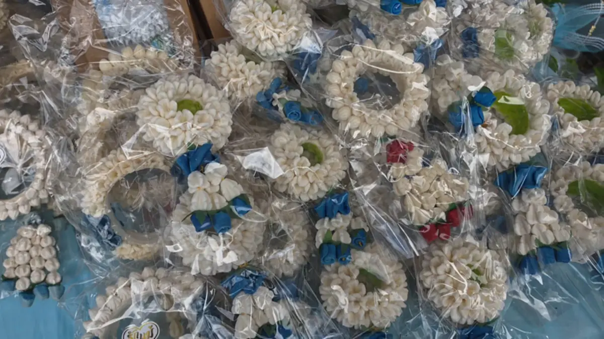 มะลิพุ่งกิโลละ 1,500! ตลาดโคราชคึกคัก แม่ค้าแบกต้นทุนวันแม่