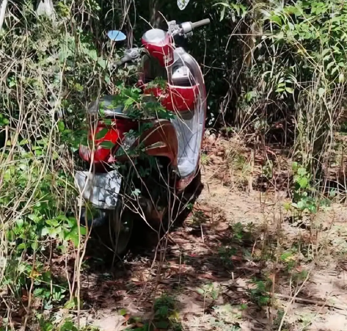 "กัน จอมพลัง" ได้รับการยืนยันเรื่อง "รถ scoopy สีแดง" แล้ว 