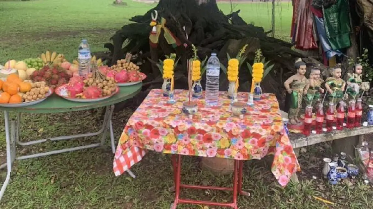 ขนลุก! สาวใหญ่ลูบตอตะเคียน เห็นเลขก่อนถูกหวยรับเงินแสน
