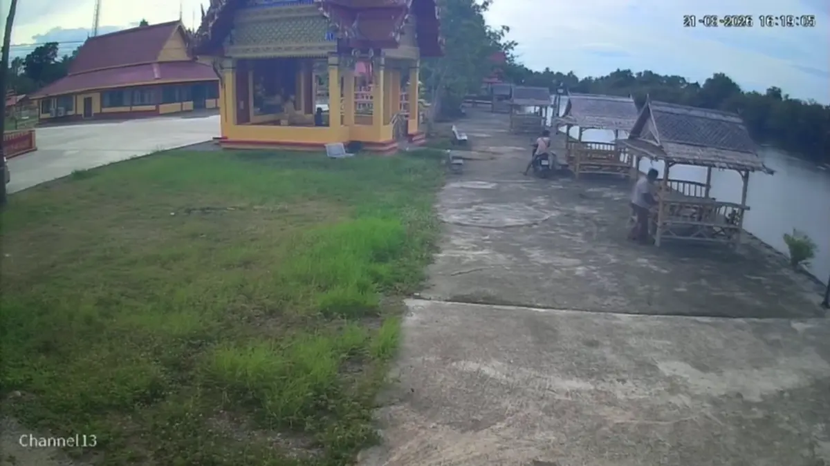ทำเป็นอาลัย! หนุ่มสาวแอบทิ้งลูกแมว 3 ตัว พระวอนหยุดสร้างบาป