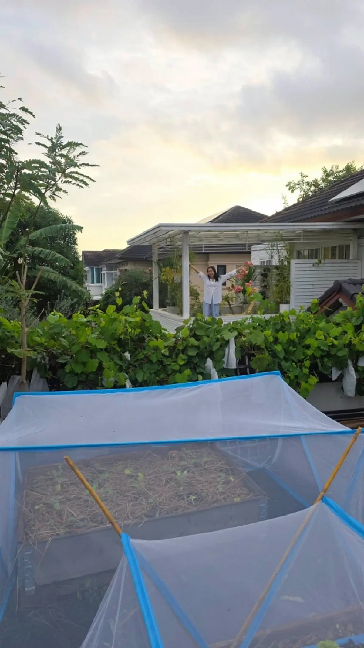 "จอย รินลณี" เนรมิตพื้นที่บ้าน 120 ตร.ว. ทำแปลงผักออร์แกนิก
