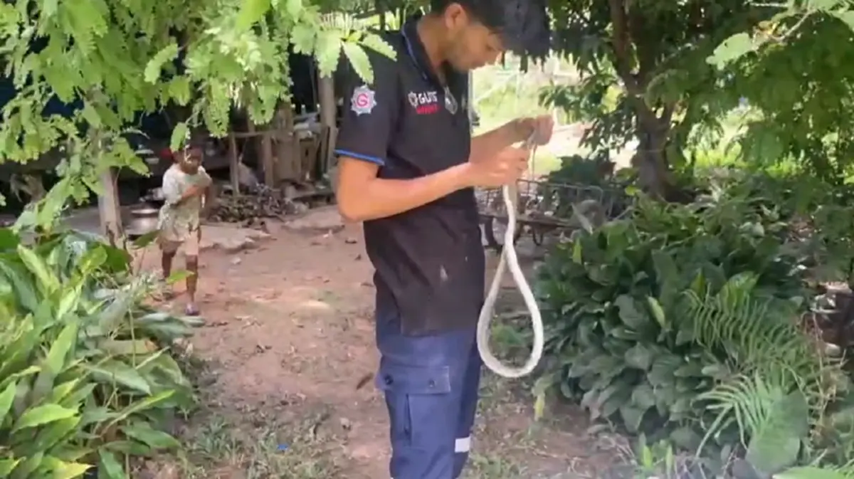 ชาวบ้านผวา งูสา เลื้อยซุกเครื่องซักผ้า แห่ส่องบ้านเลขที่