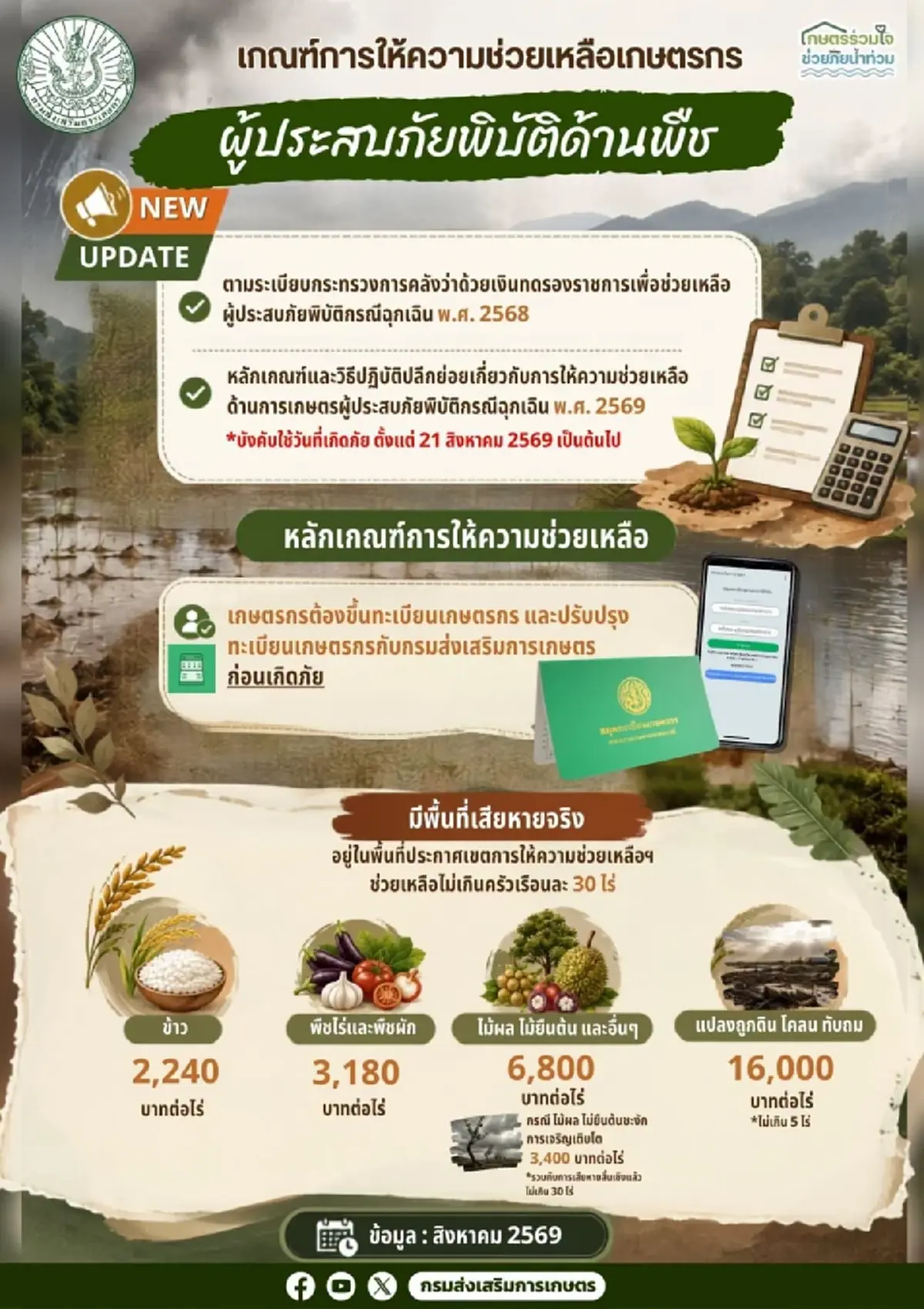 เงินช่วยเหลือเกษตรกร อัปเดตเกณฑ์ใหม่ล่าสุด กลุ่มไหนได้ 6,800 ต่อไร่